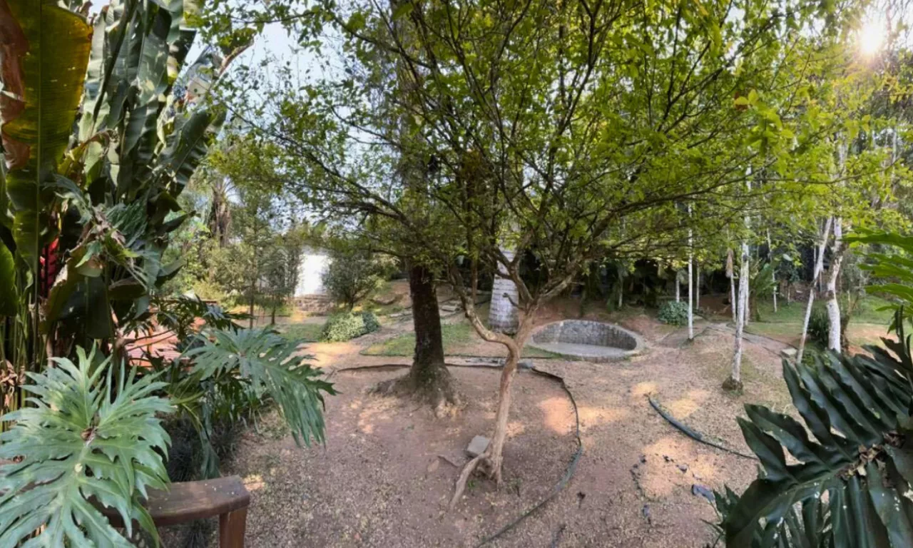 image-franquia